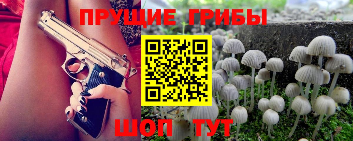 Галлюциногенные грибы Psilocybe  Вход с VPN  Черняховск 